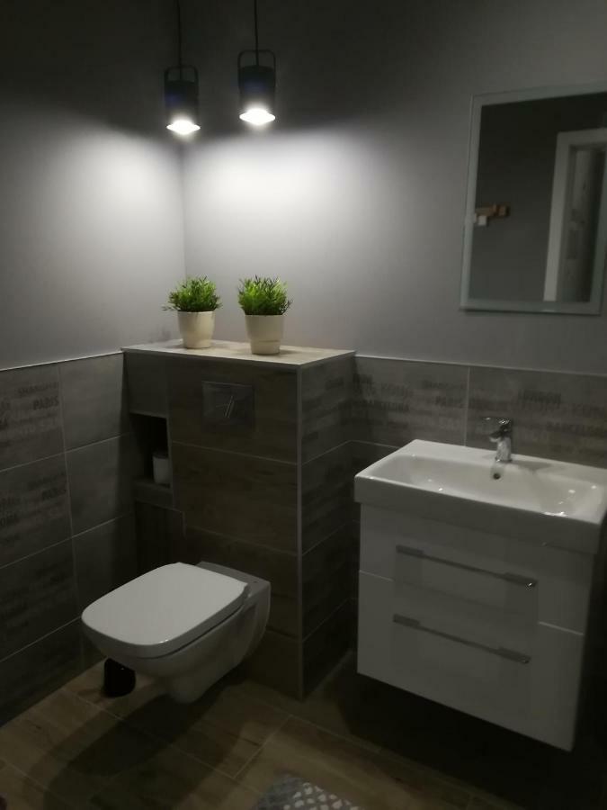 Apartament Swieradow Daire Dış mekan fotoğraf